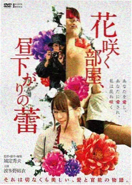 星尘之约电影海报
